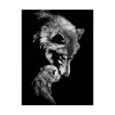 Trademark Fine Art Julie Chapman 'Tenderness Wolf' Canvas Art, 14x19 WAG13819-C1419GG